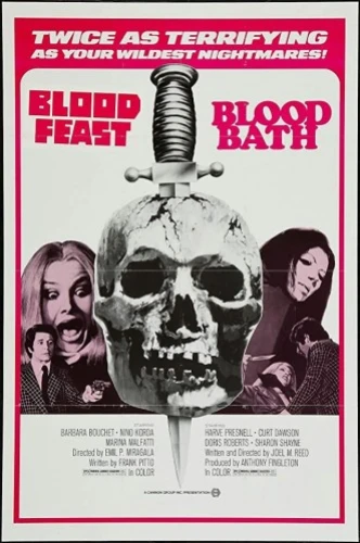 Theatrical Poster