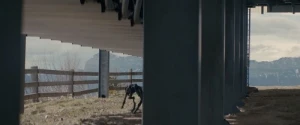 Episode #1.7