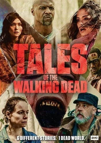 DVD Cover (AMC)