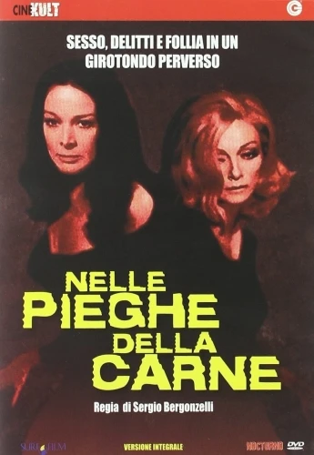 DVD Cover (Italy)
