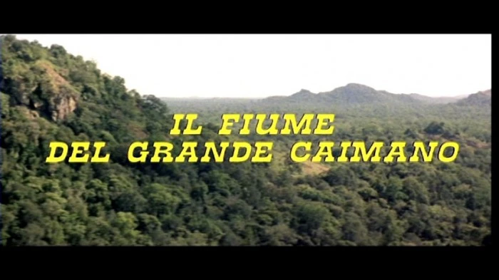 Title Card