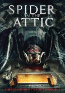 Spider In The Attic