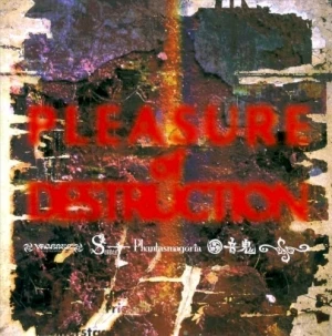 PLEASURE of DESTRUCTION