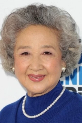 Shuzhen Zhao