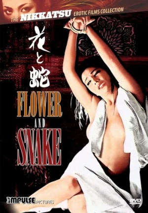 DVD Cover (Impulse Pictures)