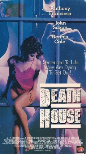 VHS Cover (AIP Home Video)