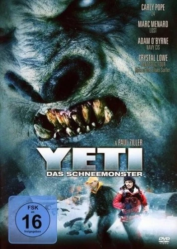DVD Cover (Germany)