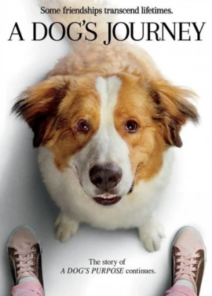 DVD Cover (Universal)
