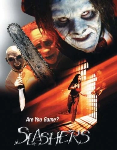 DVD Cover (MTI Home Video)