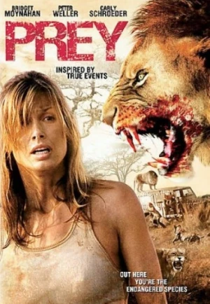 DVD Cover (The Weinstein Company)