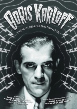 DVD Cover (Voltage Films)