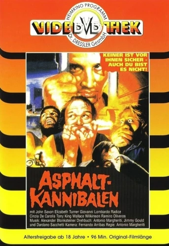 DVD Cover (Germany)