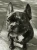 Gary the Dog