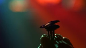 The Crystal Scarab