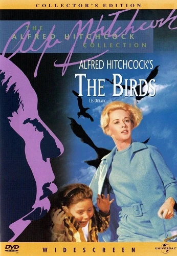 DVD Cover (Universal)