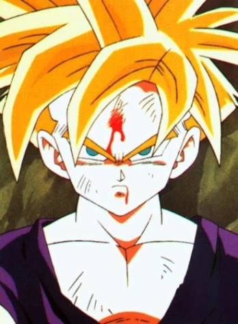 Gohan's Plea