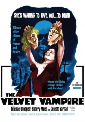 DVD Cover (Cheezy Movies)