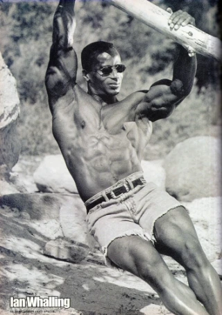 Ian Walling
