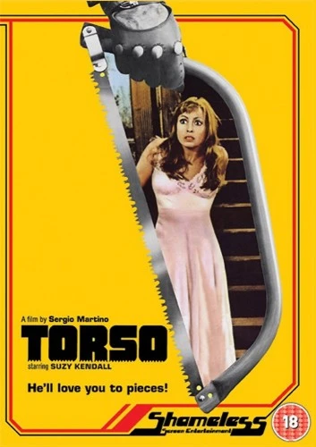 DVD Cover (Shameless)