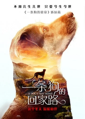 Theatrical Poster (Japan)