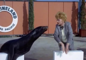 Lucy at Marineland