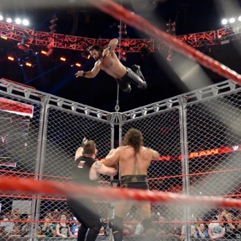 From the top of the cage.