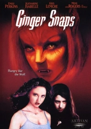 DVD Cover (Artisan)