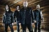 Disturbed