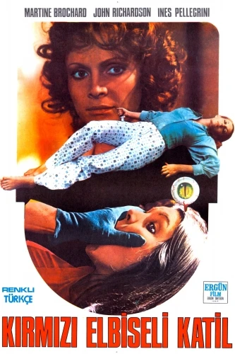 Theatrical Poster (Turkey)