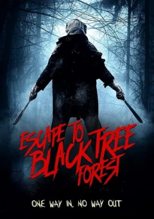 DVD Cover (Wild Eye Releasing)