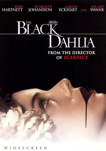 DVD Cover (Universal)