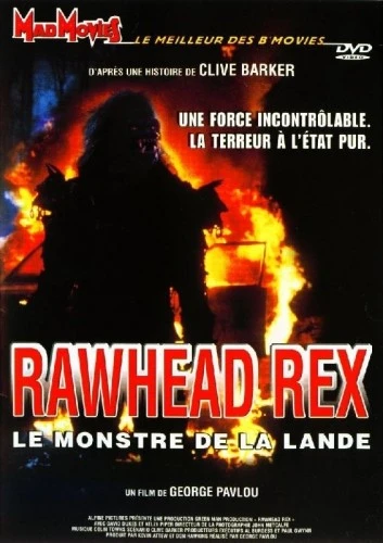 DVD Cover (France)