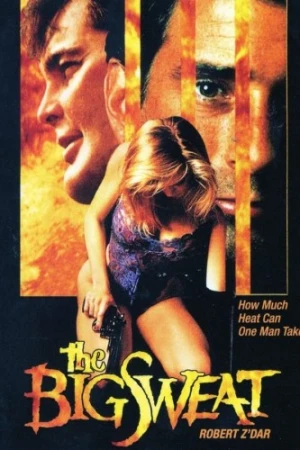 Theatrical Poster
