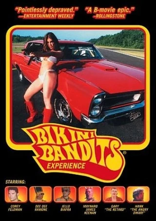 Bikini Bandits