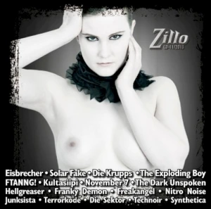Zillo CD-11/2013