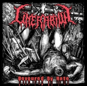 Devoured by Hate / Severe Facial Collisions