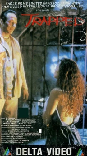 VHS Cover (Delta)
