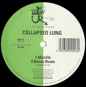 Collapsed Lung / Soul Coughing