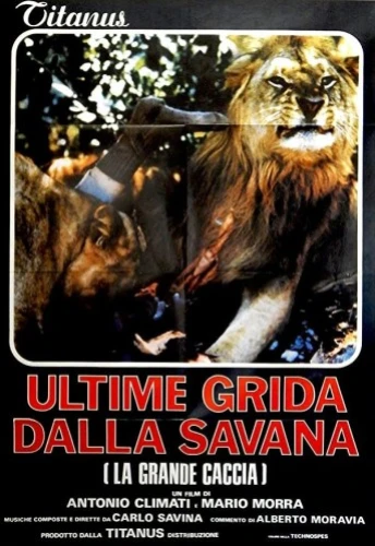 Theatrical Poster (Italy)