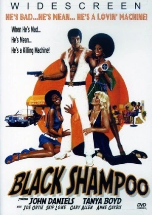 DVD Cover (VCI Home Video)