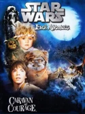 The Ewok Adventure