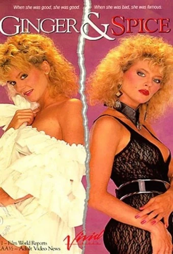VHS Cover (Vivid Entertainment)