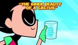 The Inner Beauty of a Cactus