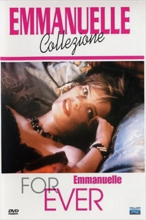 DVD Cover (France)