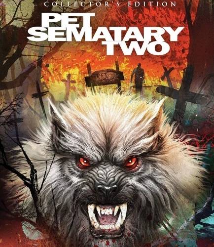 Blu-Ray Cover (Scream Factory)