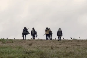 The Calm Before