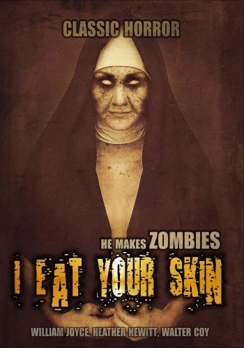 DVD Cover (Hollywoodisation)