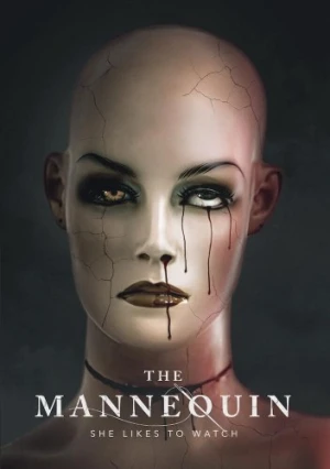 DVD Cover (Well Go USA)