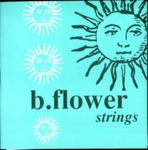 Strings