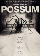 Possum